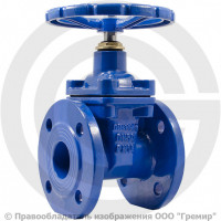 Задвижка чугунная фланцевая Ду-65 Ру-16 (Т<80°С) KR20 АДЛ Гранар