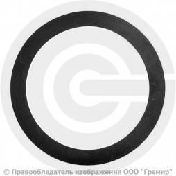 Прокладка фланцевая резиновая ТМКЩ Ду-700 Ру-16 исп. А ГОСТ 15180-86