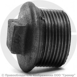 Заглушка чугунная НР (НАР) Ду 50 (2")