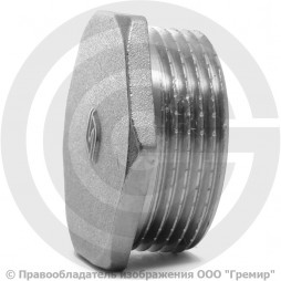 Заглушка латунная НР (НАР) Ду-20 (3/4") никель SantechSystems