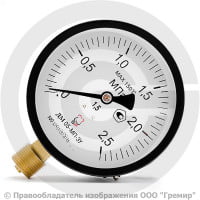 Манометр радиальный диаметр 100мм 0-25 кгс/см2 (0-2,5 МПа) G1/2" ДМ05-МП-3У Стеклоприбор