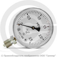 Манометр радиальный диаметр 100мм 0-25 кгс/см2 (0-2,5 МПа) М20х1,5 МТ-100 Багория