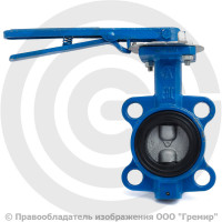 Затвор дисковый поворотный межфланцевый Ду-50 Ру-16 EPDM с чугунным диском ЛМЗ 32ч1р