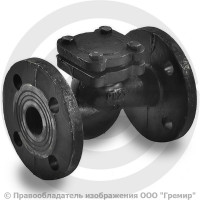 Клапан обратный подъемный чугунный фланцевый Ду-32 Ру-25 (Т<200°С) 16кч9нж