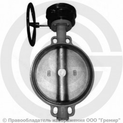 Затвор дисковый поворотный межфланцевый с редуктором Ду-600 Ру-16 с чугунным диском Giacomini R59W