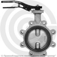 Затвор дисковый поворотный межфланцевый Ду-80 Ру-16 с чугунным диском Giacomini R59FL