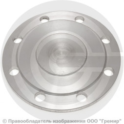 Заглушка фланцевая 1-100-25-Ст.20 ГОСТ 34785-21