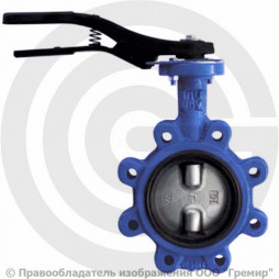 Затвор дисковый поворотный межфланцевый Ду-40 Ру-16 двойной шток с нержавеющим диском Giacomini R59FL
